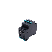 Exotronic 40A 2-Pole DC Circuit Breaker (MCB)