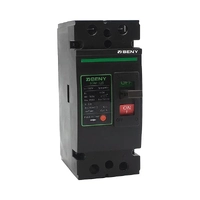 ZJ Beny 125A 2-Pole DC Circuit Breaker with Enclosure
