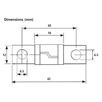 Exotronic M6 Midi/AMI/ANS Fuse 175A
