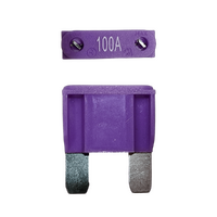 Exotronic Maxi Blade Fuse 100A