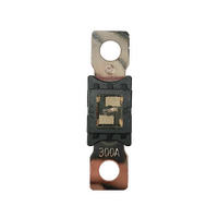 Exotronic Mega/AMG/ANM Fuse 300A