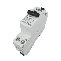 GEN3 Double Pole Single Module RCBO 16Amp Safety Switch/Circuit Breaker Combo