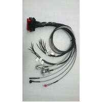 REC Active Balancing BMS Wiring Harness