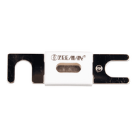 Victron M10 ANL-fuse 500A/80V for 48V products