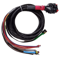 Wakespeed WS500 P-type wiring harness