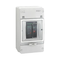 ZJ Beny 125A 2-Pole DC Circuit Breaker with Enclosure