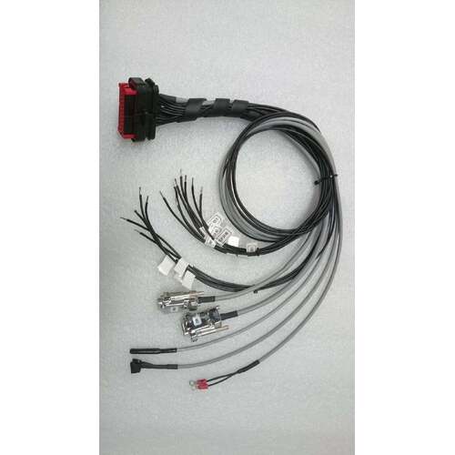 REC Active Balancing BMS Wiring Harness